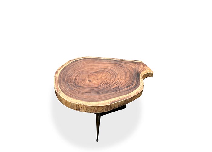 Coffee Table-3